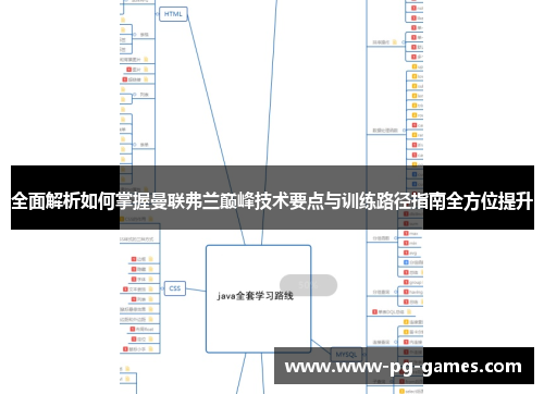 全面解析如何掌握曼联弗兰巅峰技术要点与训练路径指南全方位提升