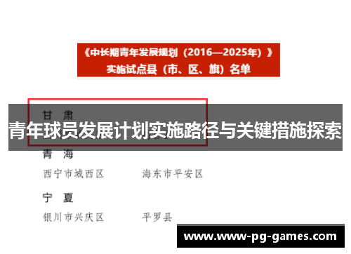 青年球员发展计划实施路径与关键措施探索 青年球员发展计划实施路径与关键措施探索